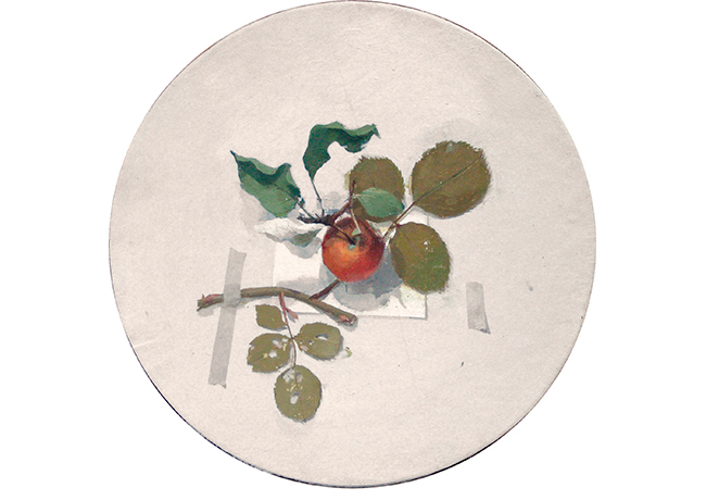 Manzana. � 30 cm. �leo sobre papel encolado a tabla