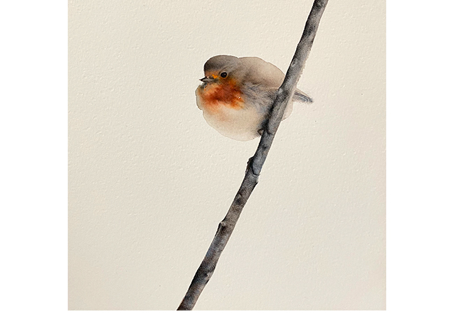 Petirrojo. Acuarela y l�piz. 16 x 16cm. Enmarcado.