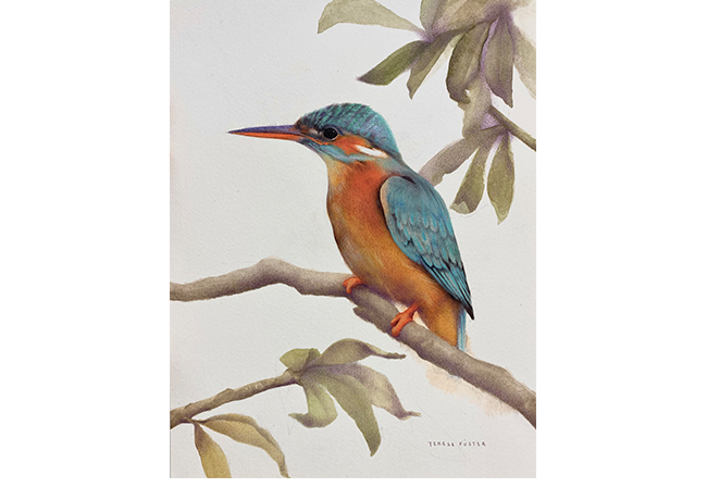 Mart�n pescador. Acuarela y l�piz. 20 x 13cm. Enmarcado.